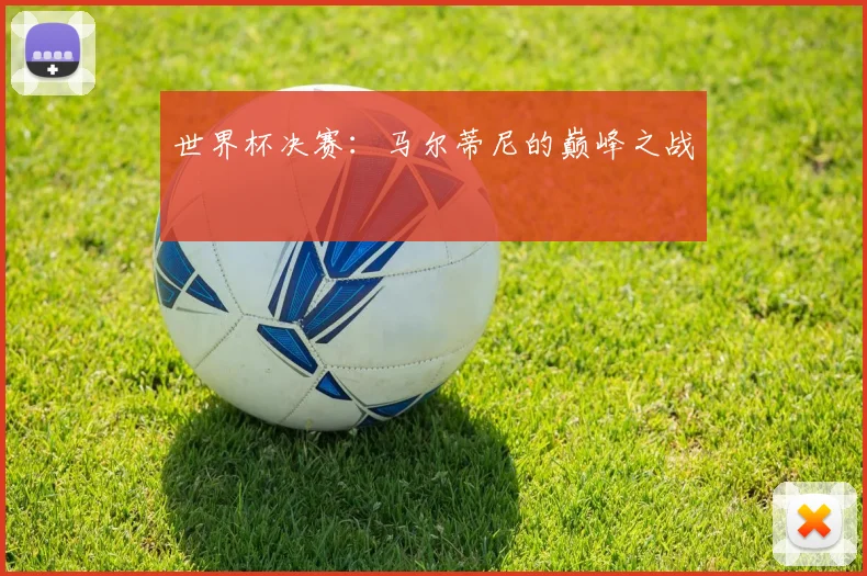世界杯决赛：马尔蒂尼的巅峰之战