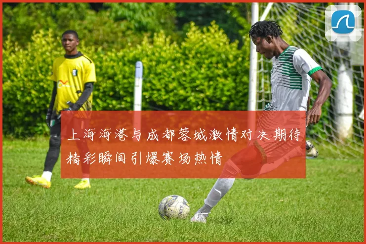 上海海港与成都蓉城激情对决期待精彩瞬间引爆赛场热情