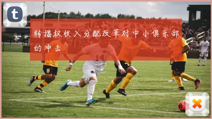 转播权收入分配改革对中小俱乐部的冲击